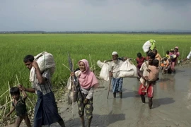 Người Myanmar ở bang Rakhine rời bỏ nhà cửa tránh xung đột tới khu vực biên giới gần thị trấn Teknaf, Bangladesh. (Nguồn: AFP/TTXVN)