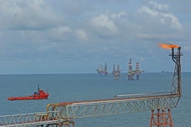 Ảnh chỉ có tính minh họa. (Ảnh: Huy Hùng/TTXVN)