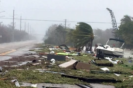 Cảnh ngổn ngang sau bão Irma ở Isamorada, bang Florida, Mỹ. (Nguồn: AFP/TTXVN)