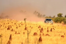 Australia trải qua mùa Đông nóng nhất trong lịch sử với nhiệt độ trung bình 23,7 độ C. (Nguồn: theguardian.com)