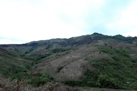 Những cánh rừng bị chặt phá tại xã Chung Chải. (Ảnh: Phan Tuấn Anh/TTXVN)