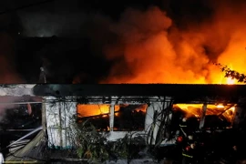 Ảnh chỉ có tính minh họa. (Ảnh: An Hiếu/TTXVN)