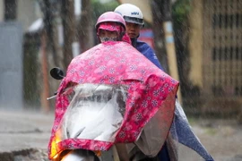 Ảnh chỉ có tính minh họa. (Ảnh: Lê Minh Sơn/Vietnam+)