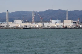Nhà máy điện hạt nhân Fukushima Daiichi của công ty TEPCO. (Nguồn: AFP/TTXVN)