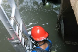 Ảnh chỉ có tính minh họa. (Ảnh: Hải Âu/TTXVN)