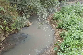 Dòng suối chảy qua địa phận xã Chu Trinh, thành phố Cao Bằng, bị ô nhiễm nghiêm trọng do Nhà máy tinh bột sắn xả thải. (Ảnh: Quân Trang/TTXVN)
