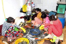 Ảnh chỉ có tính minh họa. (Ảnh: Huỳnh Sử/TTXVN)
