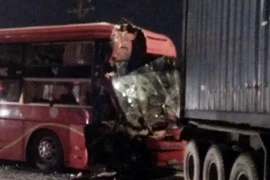 Ảnh chỉ có tính minh họa. (Ảnh: Tuấn Anh/TTXVN)