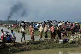 Người tị nạn Rohingya tại khu vực Ukhia, trên biên giới Bangladesh-Myanmar sau khi rời bỏ nhà cửa tránh xung đột ở Rakhine. (Nguồn: AFP/TTXVN)