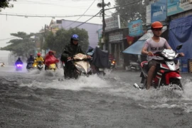 Ảnh chỉ có tính minh họa. (Ảnh: Tuấn Anh/TTXVN)