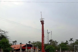 Cây Đình liệu là nét độc đáo của lễ hội đền Lộng Khê.