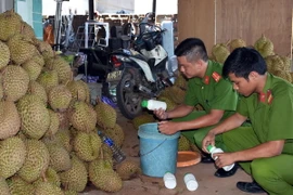 Số hóa chất và sầu riêng phát hiện tại hiện trường. (Ảnh: Cao Nguyên/TTXVN)