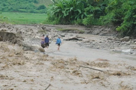 Ảnh chỉ có tính minh họa. (Ảnh: Hương Thu/TTXVN)