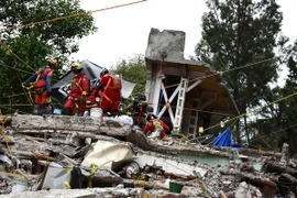 Lực lượng cứu hộ tìm kiếm nạn nhân sống sót trong đống đổ nát do động đất ở Mexico City. (Nguồn: AFP/TTXVN)