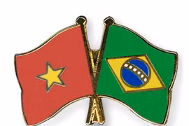 Ra mắt Nhóm nghị sỹ hữu nghị Brazil-Việt Nam nhiệm kỳ 2017-2019