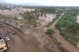 Cảnh hoang tàn sau bão Lidia ở bang Baja California Sur. (Nguồn: EPA/TTXVN)