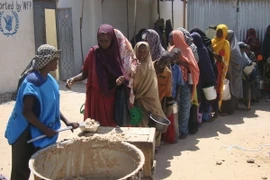 Nông nghiệp vẫn là một thách thức lớn đối với "Lục địa đen"