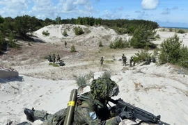 Ảnh minh họa. (Nguồn: AFP/TTXVN)