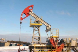 Ảnh minh họa. (Nguồn: britannica.com)