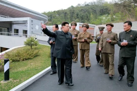 Ảnh minh họa. (Nguồn: AFP/TTXVN)