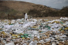 Cảnh sát Ecuador thu giữ 23 tấn ma túy trong ba tháng đầu năm