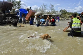 Người Colombia xuất cảnh khỏi Venezuela mang theo các vật dụng cá nhân vượt sông Tachira. (nguồn: AFP)