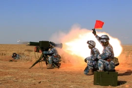 Ảnh minh họa. (Nguồn: THX/TTXVN)