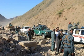 Ảnh minh họa. (Nguồn: THX/TTXVN)