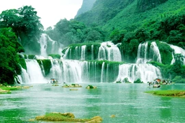 (Ảnh: Phương Hoa/TTXVN) 