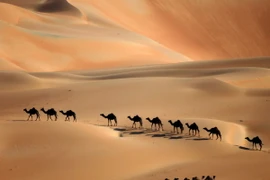 Sa mạc Liwa. (Nguồn: AFP/TTXVN)