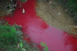 Điện Biên: Dân lo lắng vì Suối Nậm Khếnh chuyển sang màu đỏ