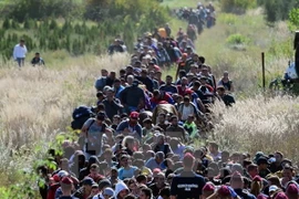 Dòng ​người di cư tại khu vực biên giới Hungary-Croatia ngày 21/9. (Nguồn: AFP/TTXVN)