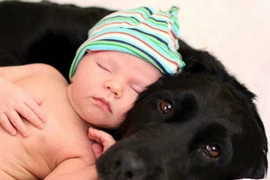 Đôi mắt. (Nguồn: Diply.com)