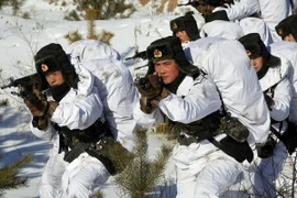 Ảnh minh họa. (Nguồn: AFP/TTXVN)