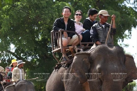 [Photo] Thú vị cưỡi voi khám phá hồ Lắk hoang sơ giữa Tây Nguyên