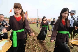 [Photo] Tái hiện chân thực cảnh vua Lê xuống ruộng đi cày