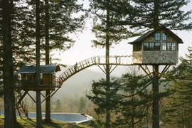 Foster Huntington và nhóm bạn của anh đã cùng nhau xây một nhà cây ở Columbia River Gorge, thuộc hạt Skamania, Washington. (Nguồn: dailymail.co.uk)