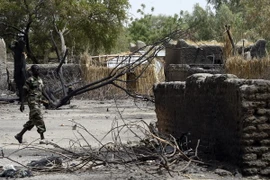 Nhà cửa bị thiêu rụi tại N'Gouboua, gần Hồ Chad sau vụ tấn công của Boko Haram ngày 12/2. (Nguồn: AFP/TTXVN)