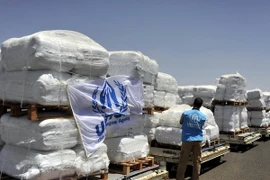 Liên quân Arab nối lại chiến dịch không kích phiến quân ở Yemen