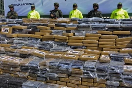 Ảnh minh họa. (Nguồn: AFP/TTXVN)