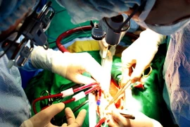 Người có chiều cao khiêm tốn có nguy cơ mắc bệnh tim mạch cao