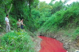 Lòng suối chuyển sang màu đỏ. (Ảnh: Xuân Tư/TTXVN) 