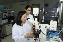 Phó giáo sư Trần Vân Khánh (ngồi bên phải) nghiên cứu trong phòng thí nghiệm cùng đồng nghiệp. (Ảnh: Phương Hoa/TTXVN)