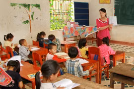 (Ảnh minh họa: Trung Kiên/TTXVN)