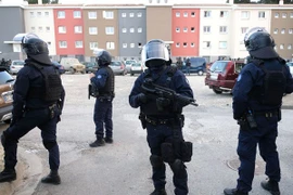 (Ảnh minh họa: TTXVN)