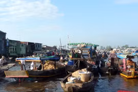 Cảnh buôn bán trên chợ nổi Cái Răng. (Ảnh: Mai Mai/Vietnam+)