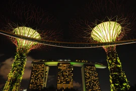 Gardens by the bay in night - một trong những biểu tượng của Singapore hiện đại. (Ảnh: Xuân Mai/Vietnam+)