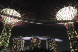 "Gardens by the bay in night" ở Singapore. (Ảnh: Xuân Mai/Vietnam+)