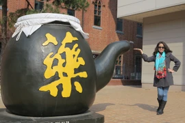 Du khách Việt Nam ở Hàn Quốc. (Ảnh: PV/Vietnam+)