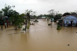 Video người dân Bình Định vẫn ngập chìm trong nước lũ